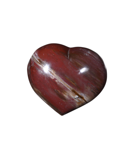Bois Fossilisé (Pétrifié) - Coeur à Poser