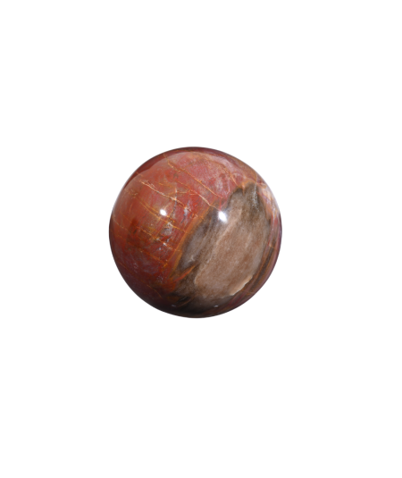 Bois Fossilisé (Pétrifié) - Sphère
