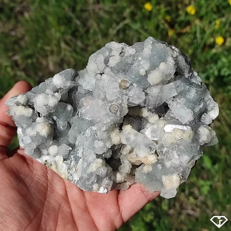 Apophyllite sur Préhnite