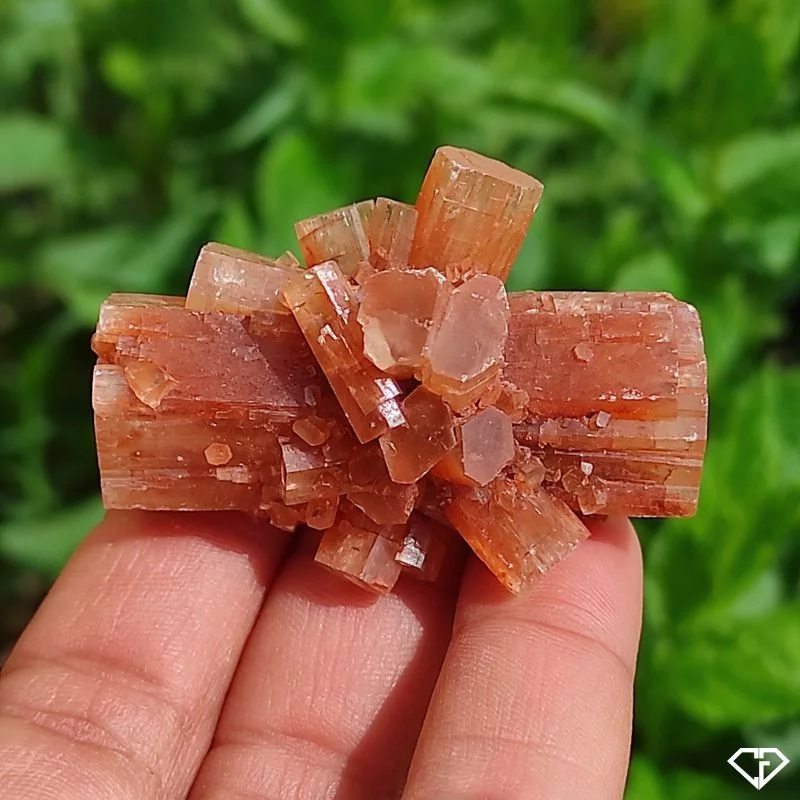 Aragonite brute