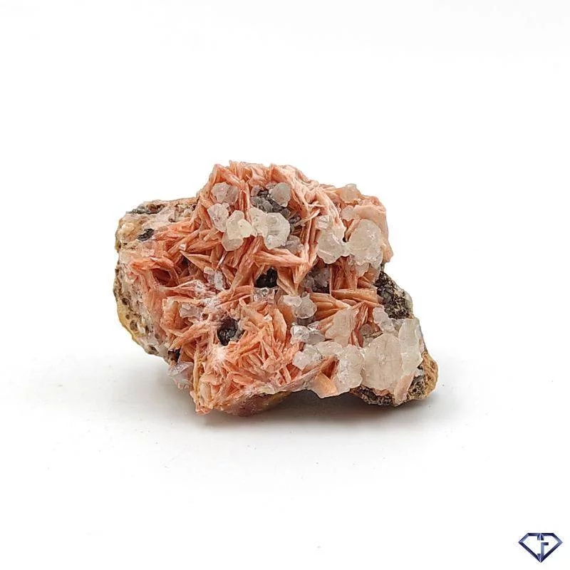 Baryte Galène et Cérusite