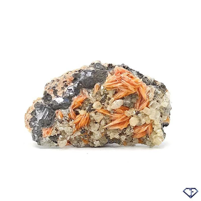 Baryte Galène et Cérusite