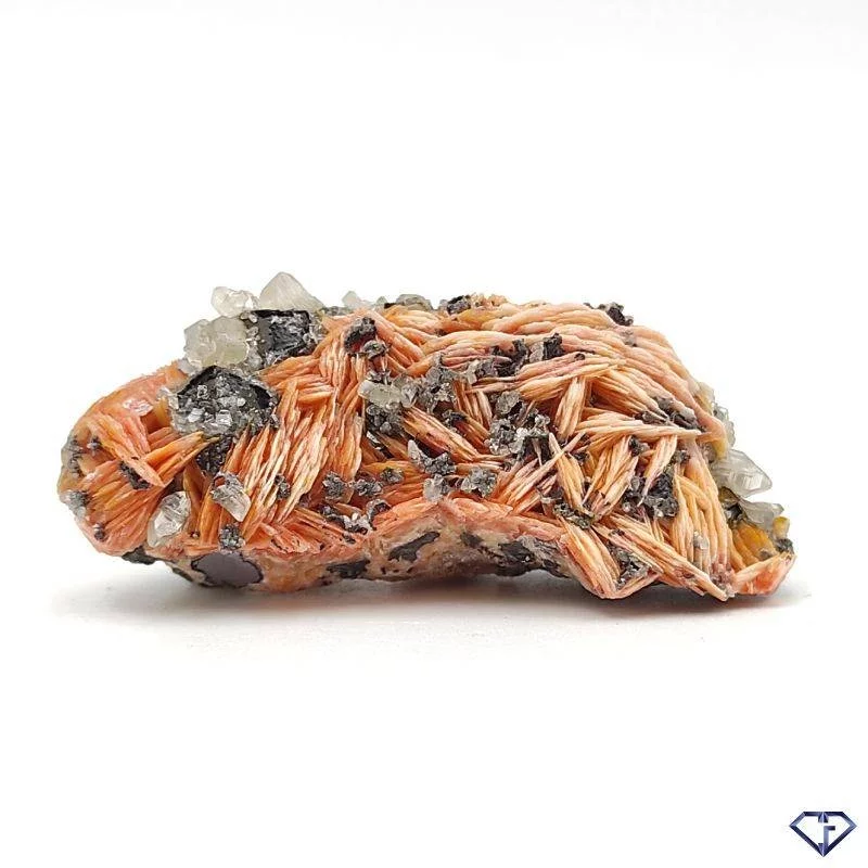 Baryte Galène et Cérusite