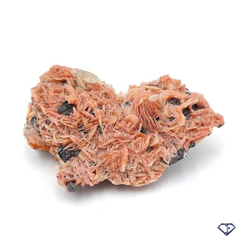 Baryte Galène et Cérusite