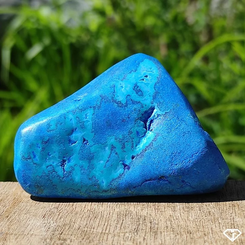 Chrysocolle polie