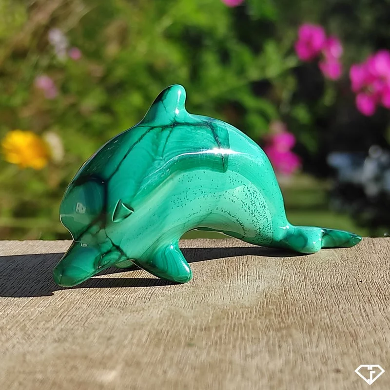 Dauphin en Malachite