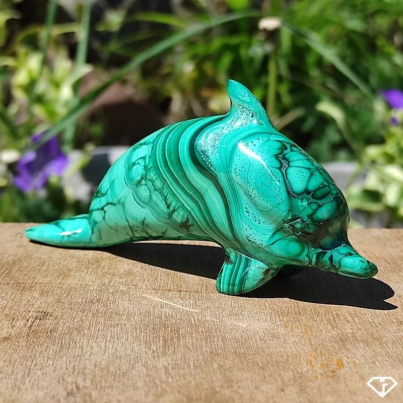 Dauphin en Malachite