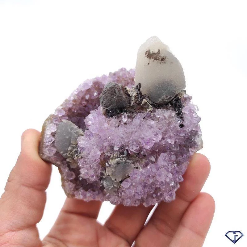 Druse d'Améthyste et Calcite