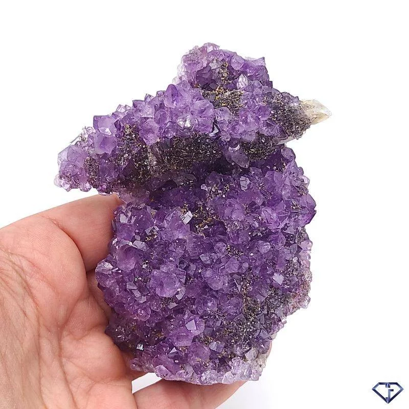 Druse d'Améthyste et Calcite