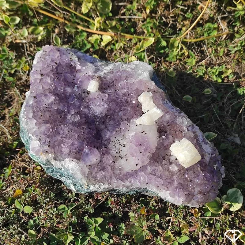 Druse d'Améthyste et Calcite
