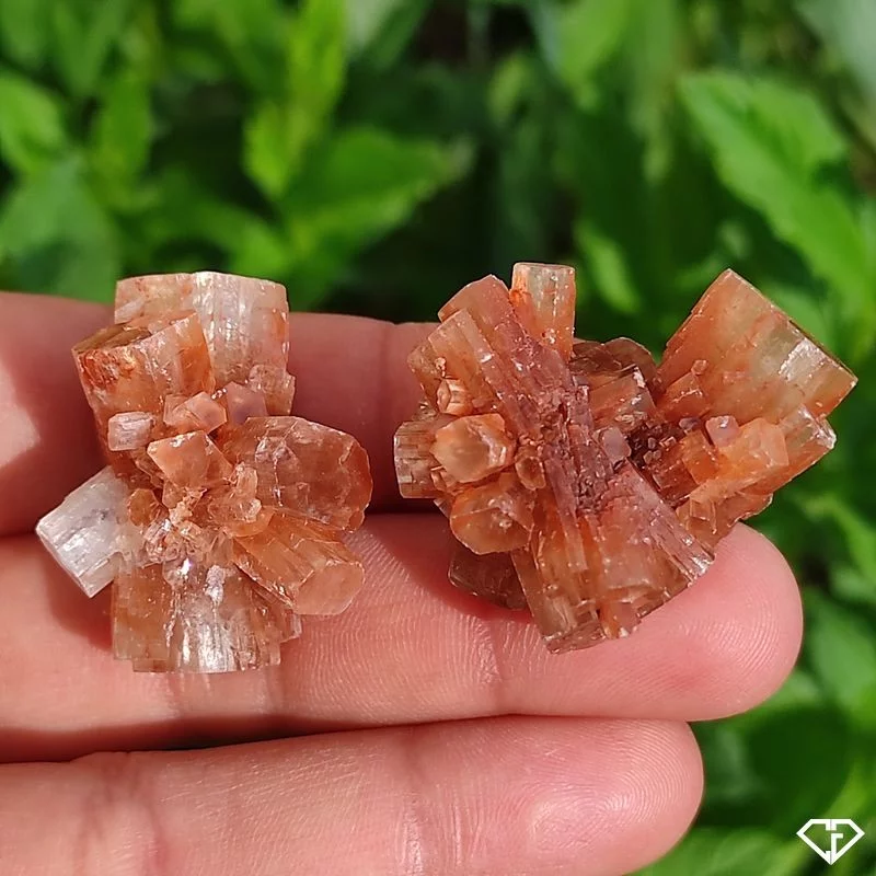 Duo d'Aragonites brutes