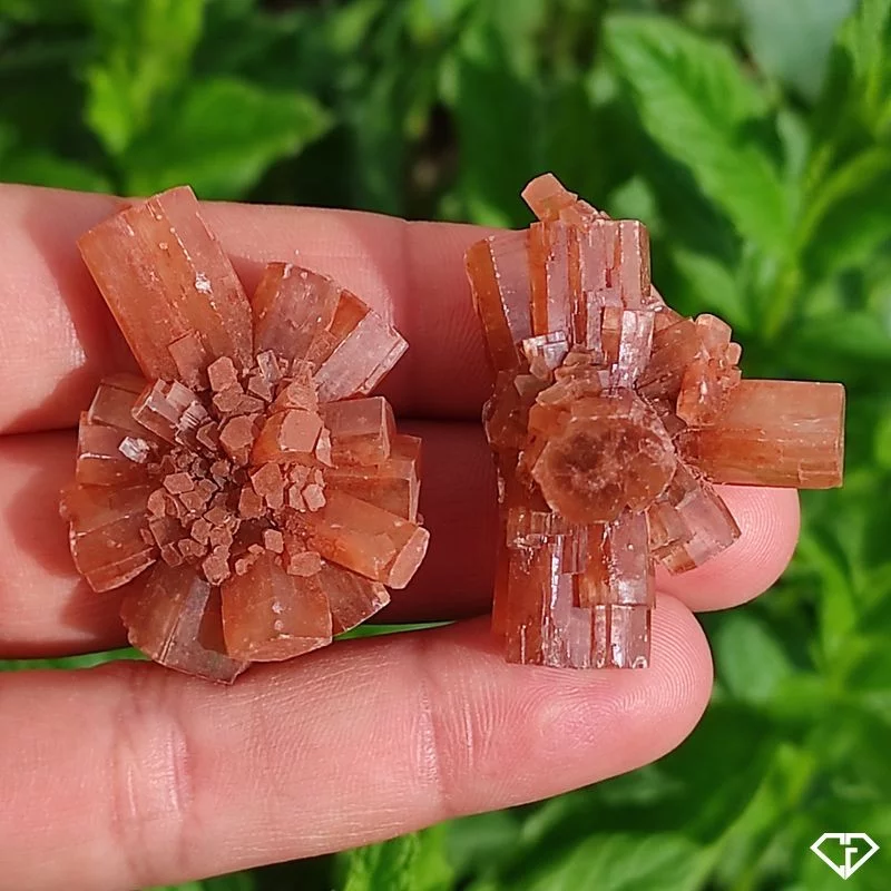 Duo d'Aragonites brutes