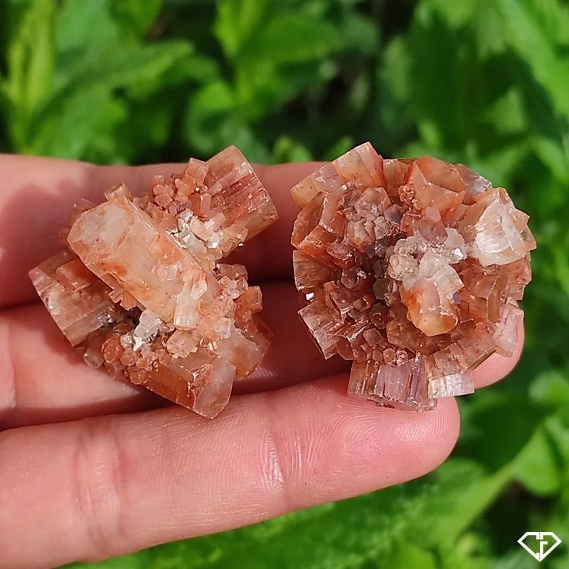 Duo d'Aragonites brutes