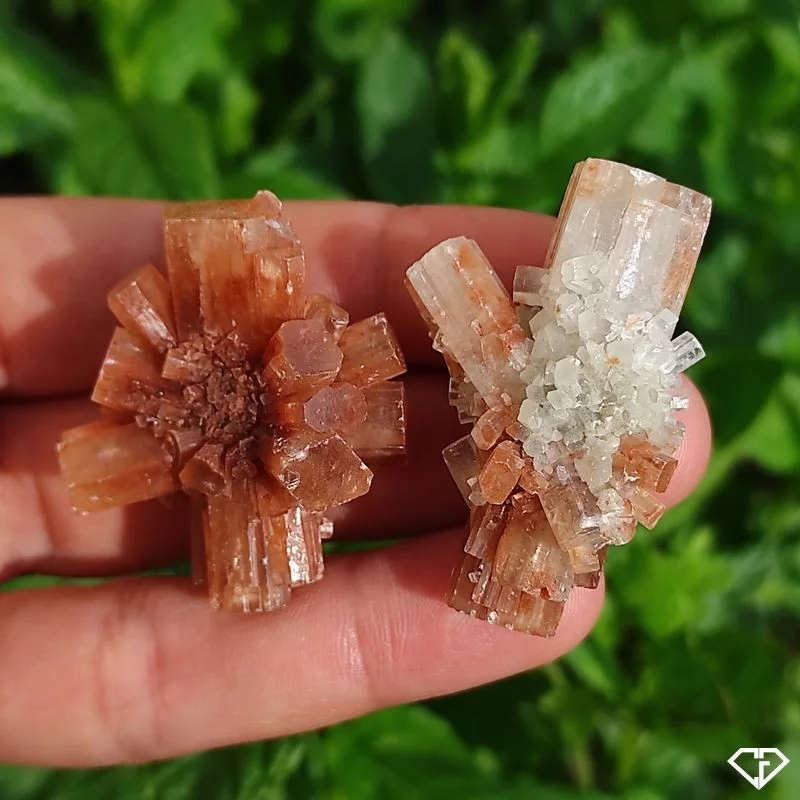 Duo d'Aragonites brutes