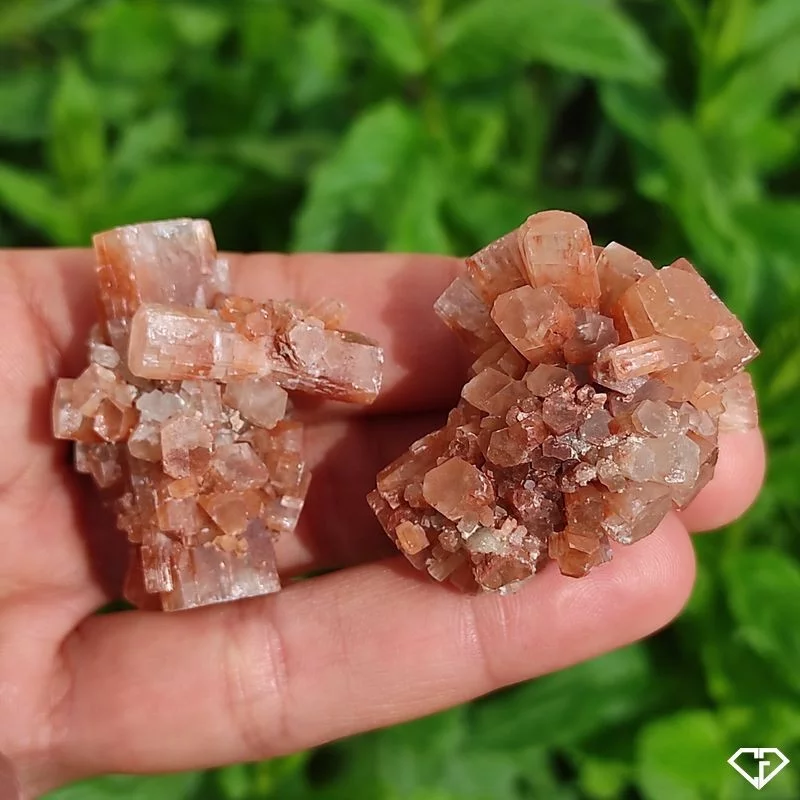 Duo d'Aragonites brutes