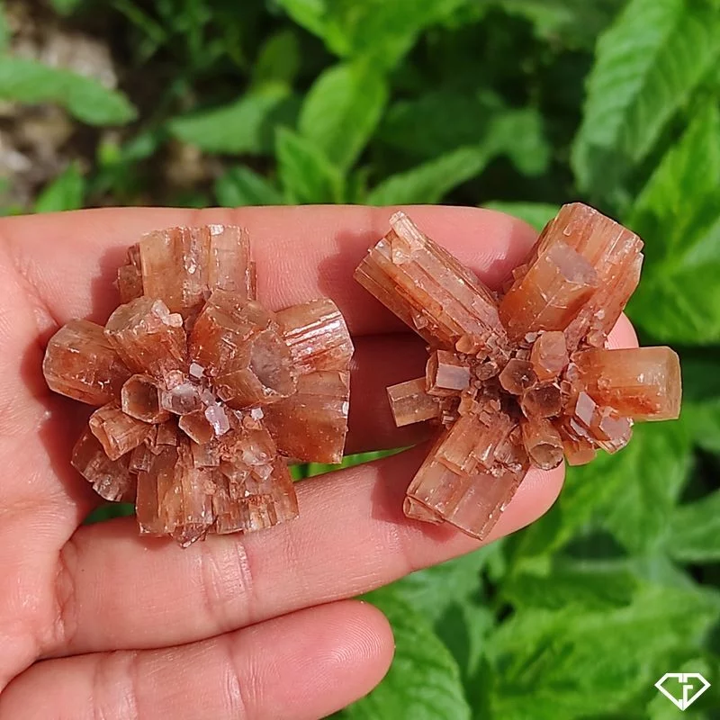 Duo d'Aragonites brutes