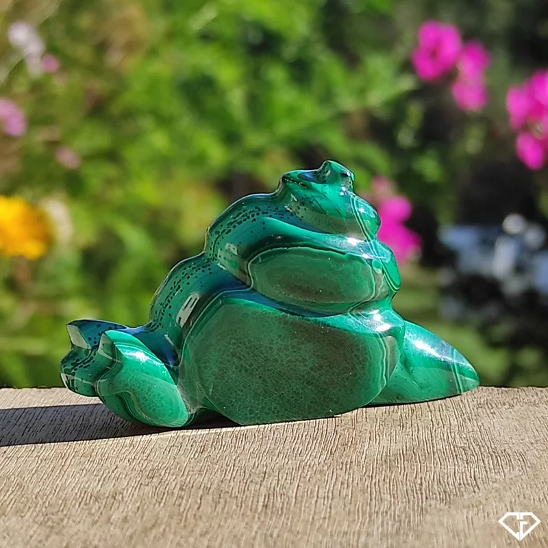 Escargot en Malachite