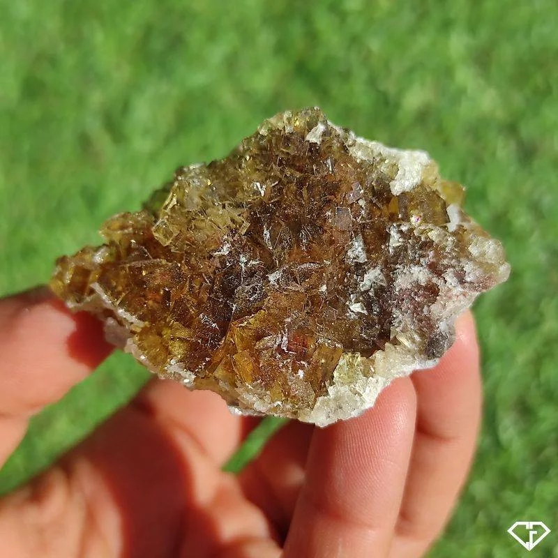 Fluorite brute