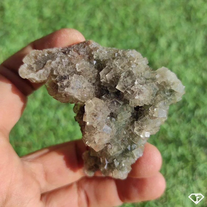 Fluorite brute