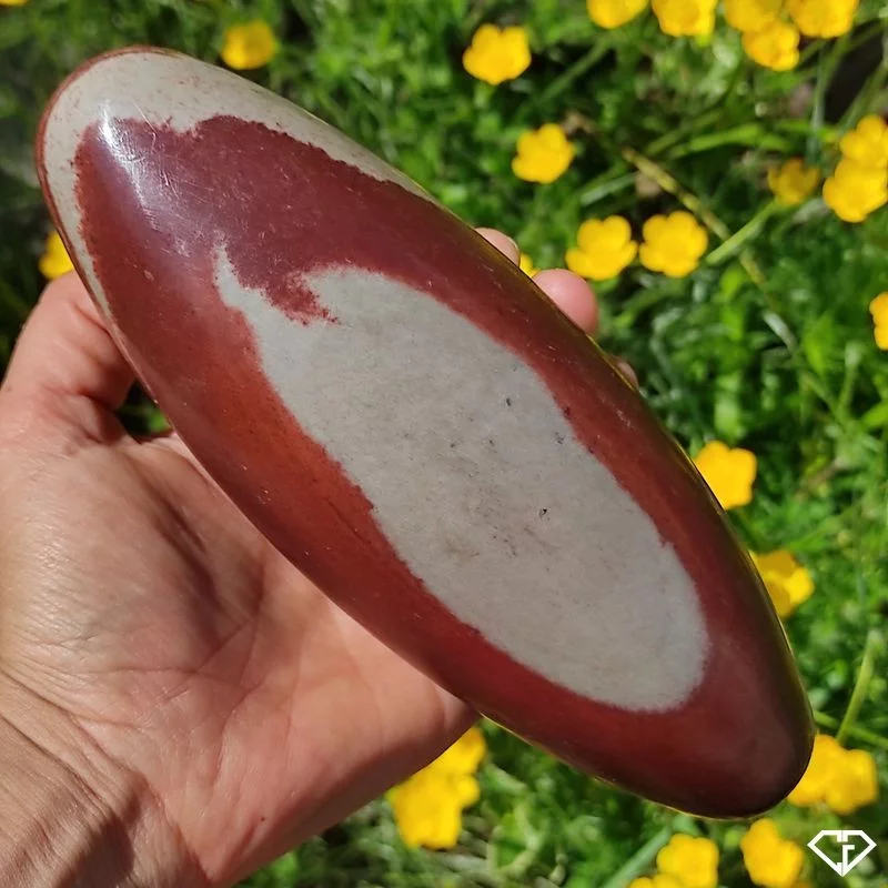 Œuf de Shiva Lingam