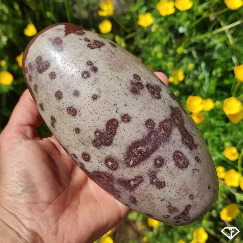 Œuf de Shiva Lingam