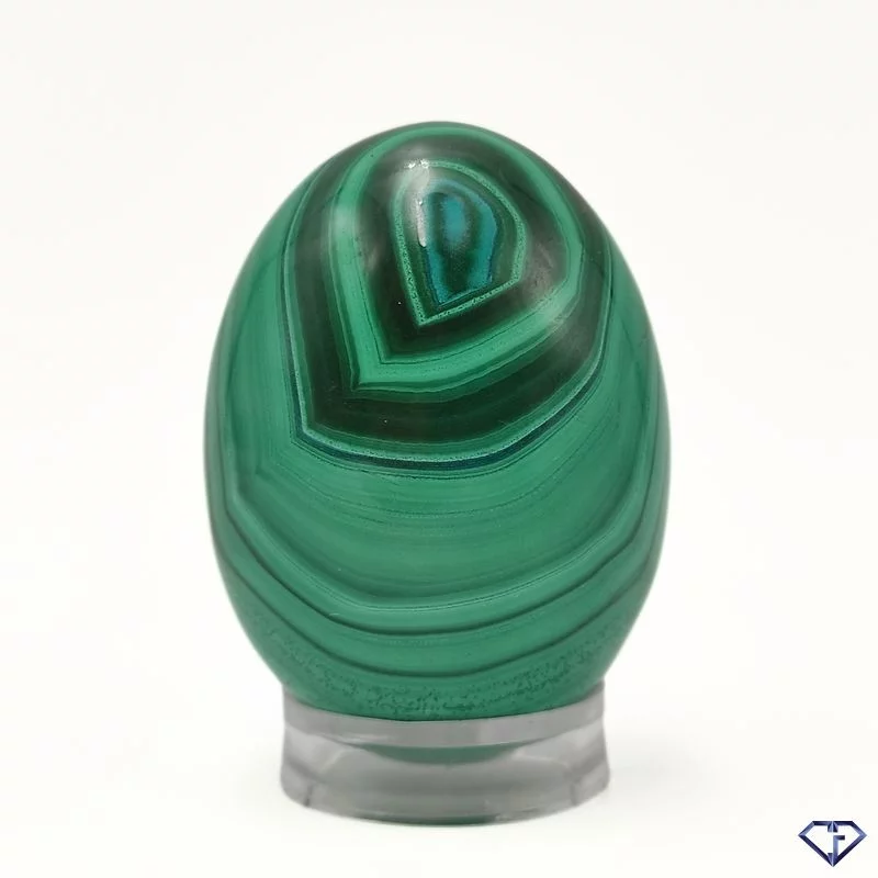 Œuf en Malachite