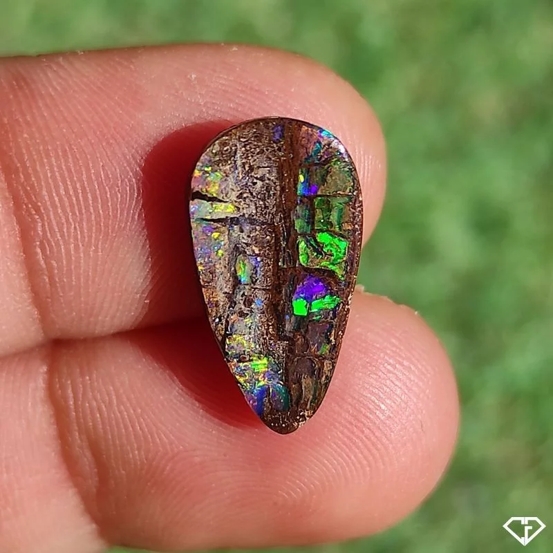 Opale Boulder - Bois Fossile