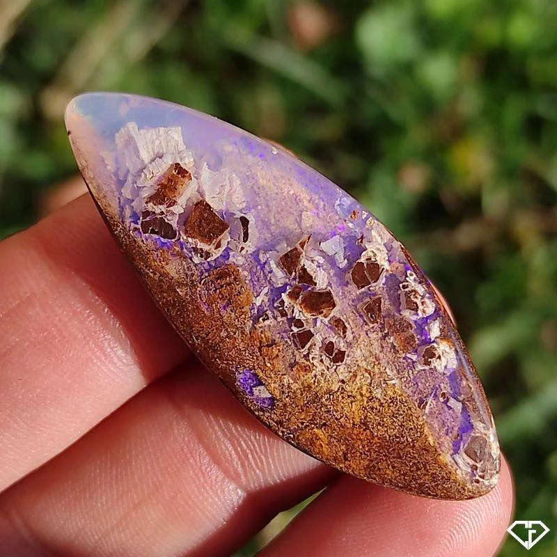 Opale Boulder - Bois Fossile