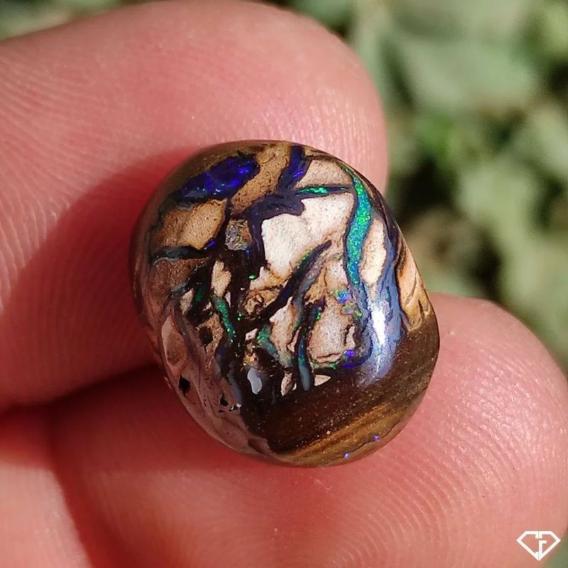 Opale Boulder Koroit