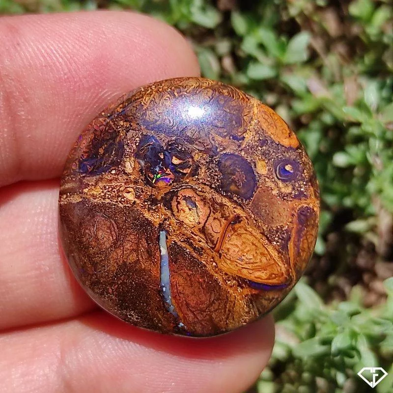 Opale Boulder Koroit