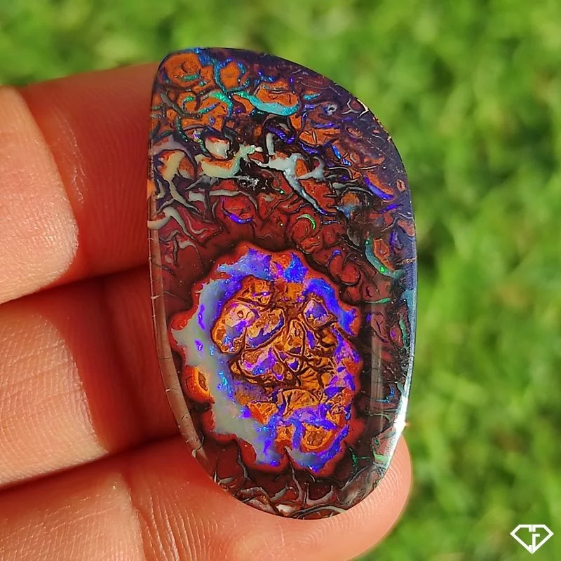 Opale Boulder Koroit nut