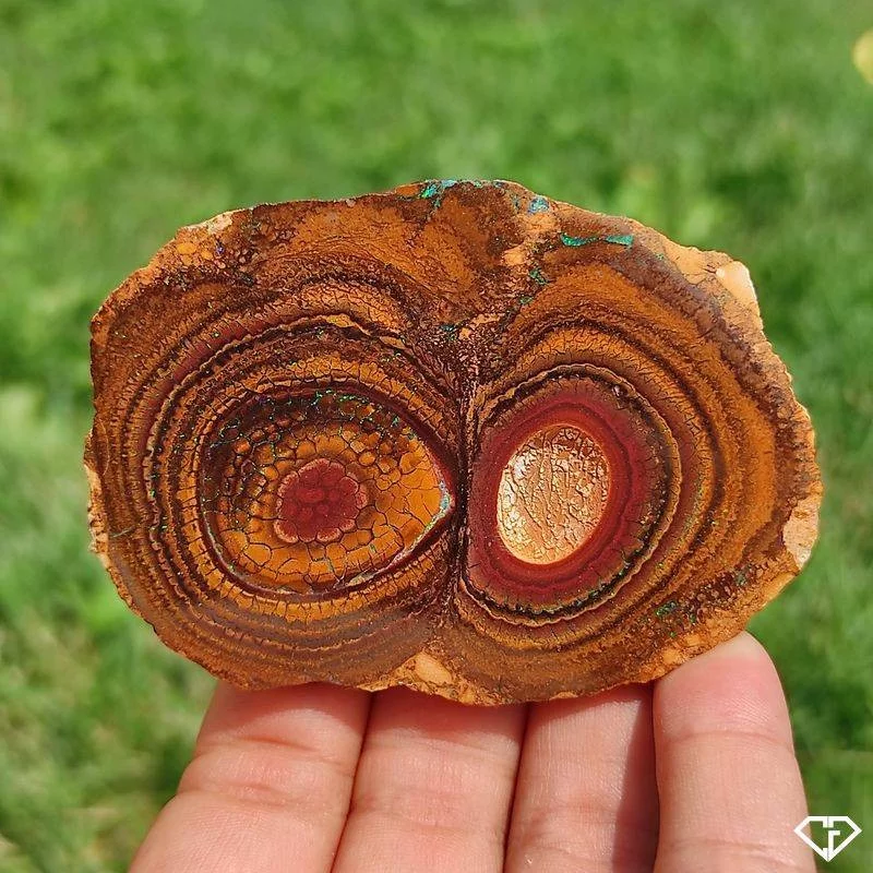 Opale Boulder Koroit nut