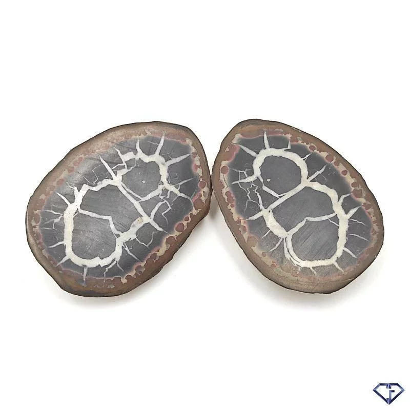 Paire de Septaria
