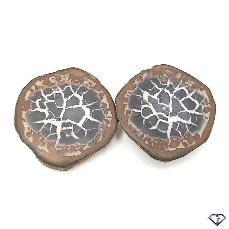 Paire de Septaria