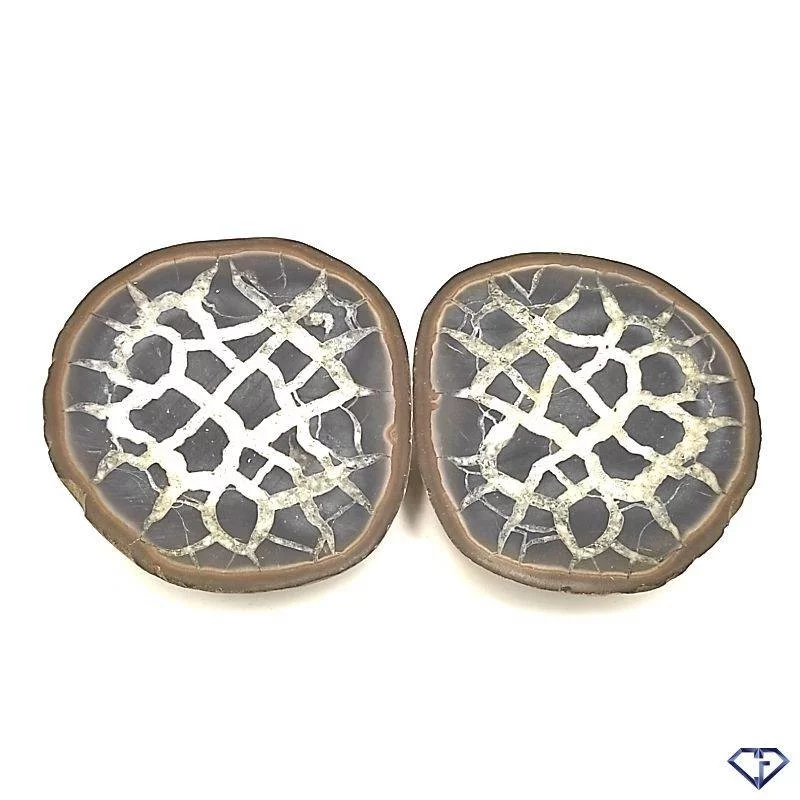 Paire de Septaria