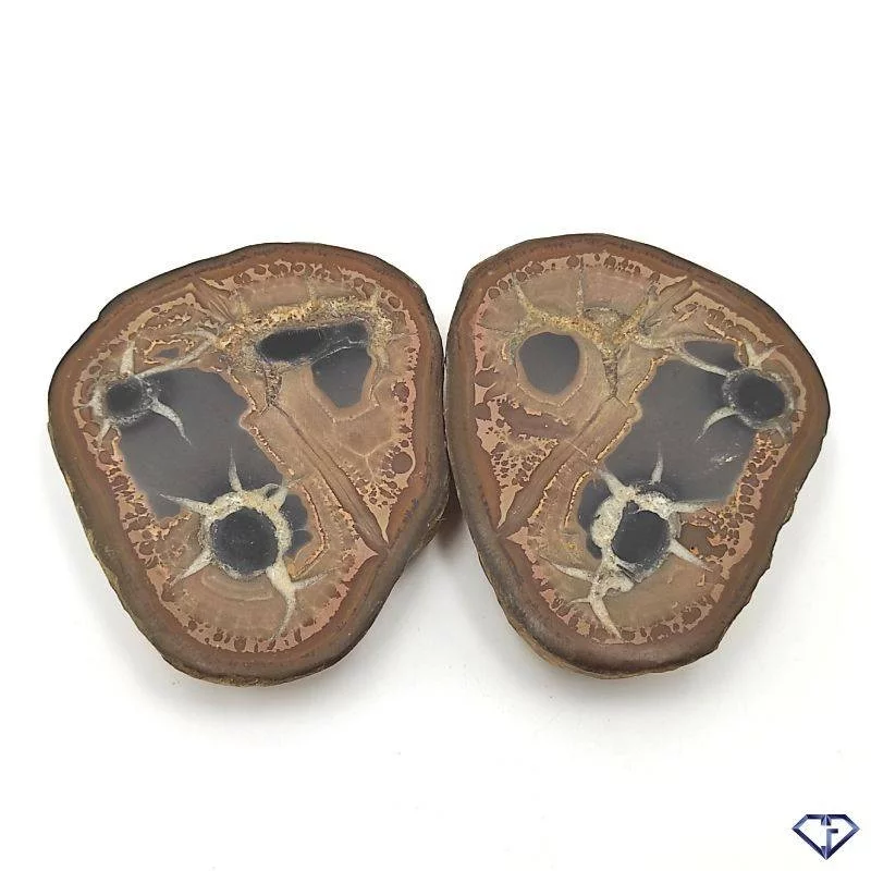 Paire de Septaria