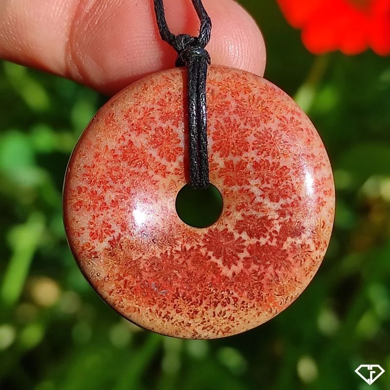 Pendentif donut en Corail Fossile