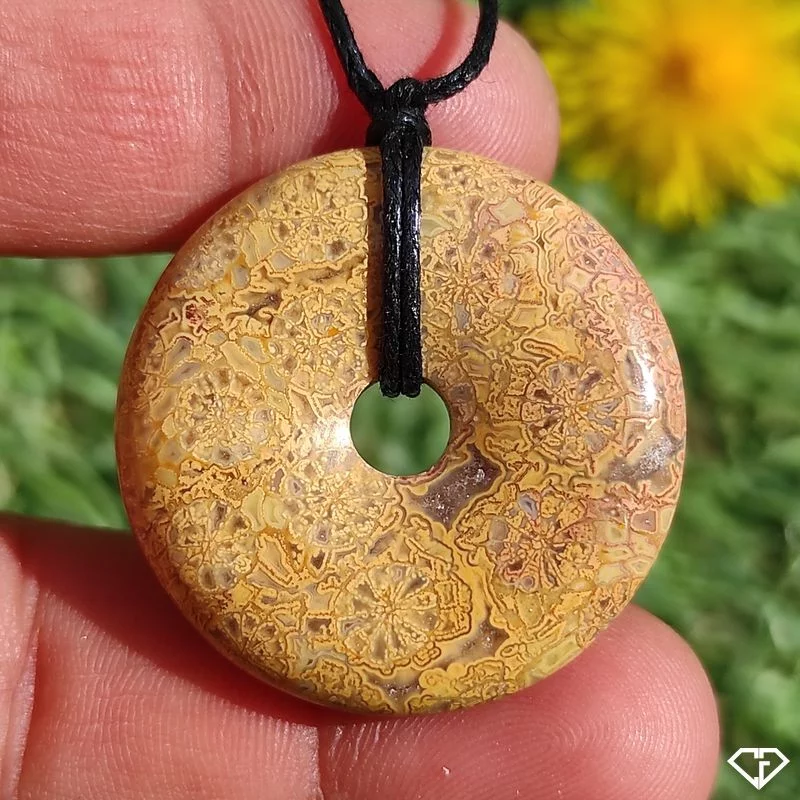 Pendentif donut en Corail Fossile