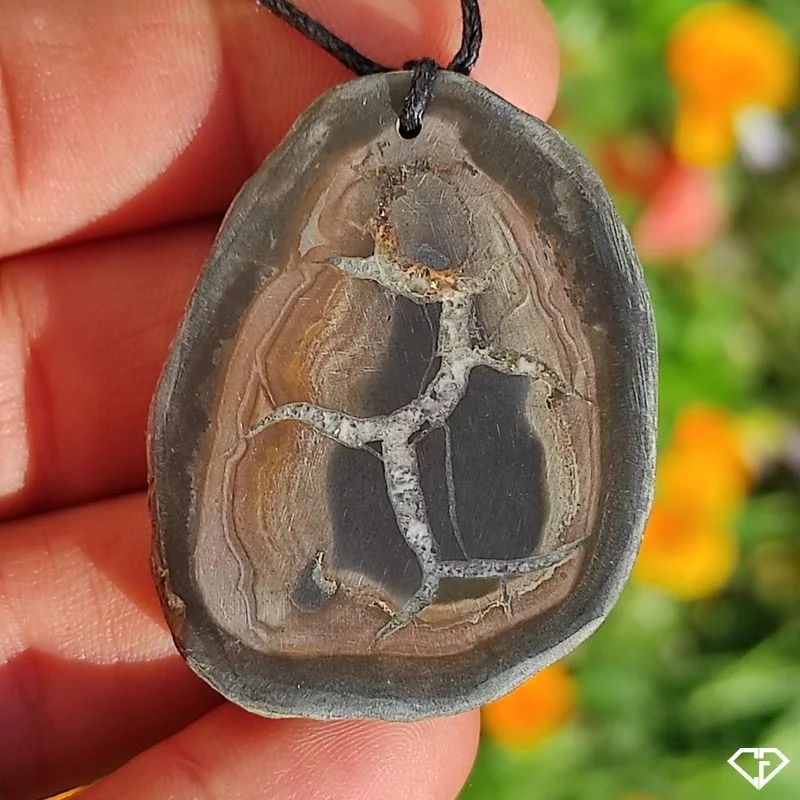 Pendentif en Septaria