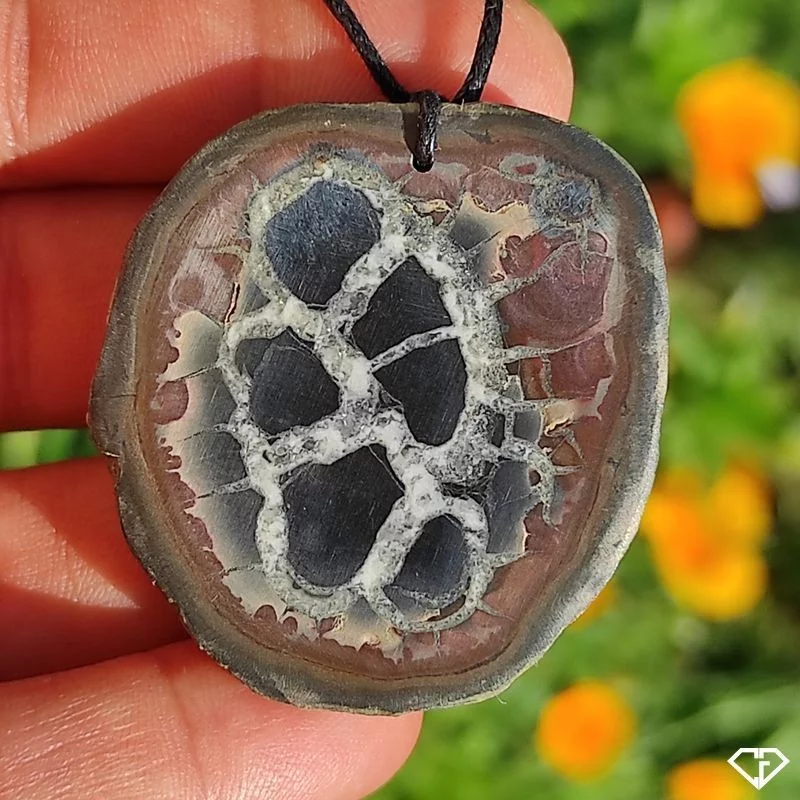 Pendentif en Septaria