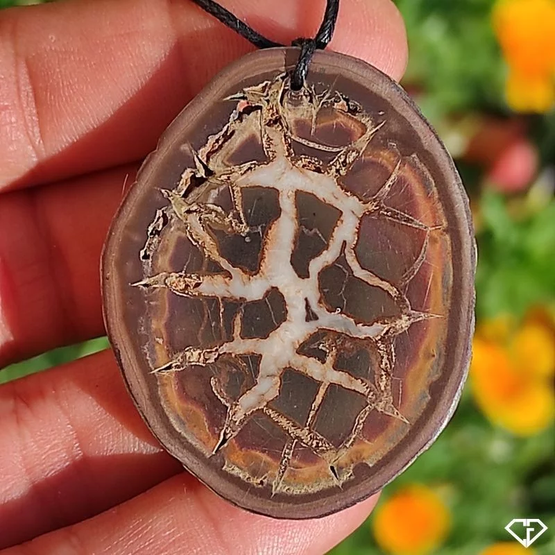 Pendentif en Septaria