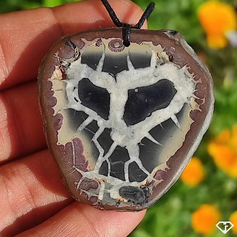 Pendentif en Septaria