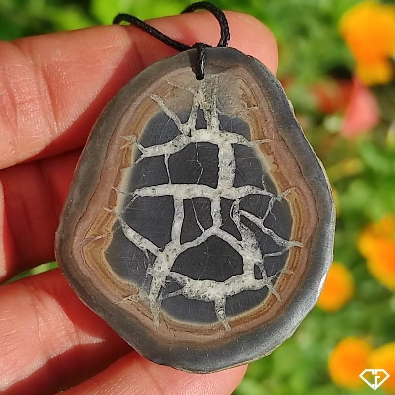 Pendentif en Septaria