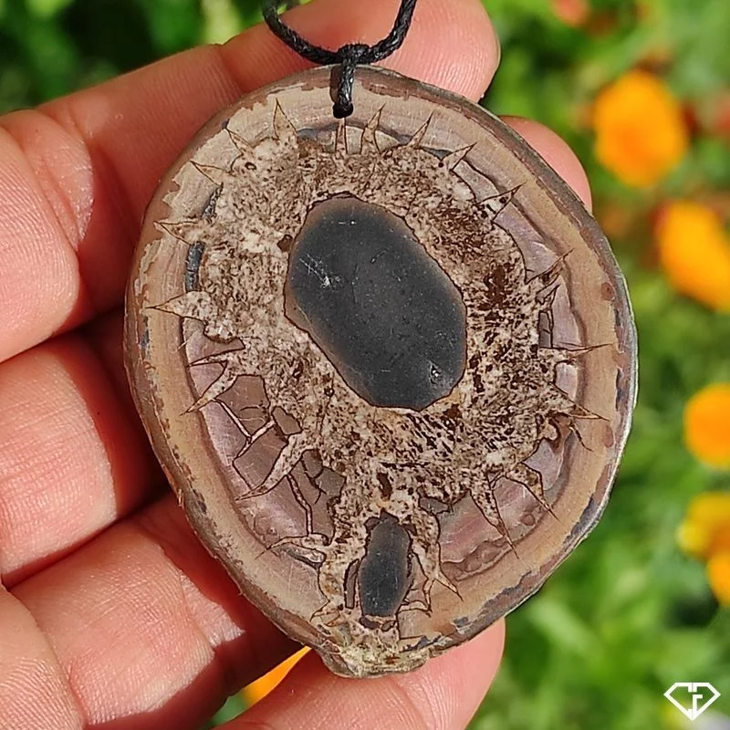 Pendentif en Septaria