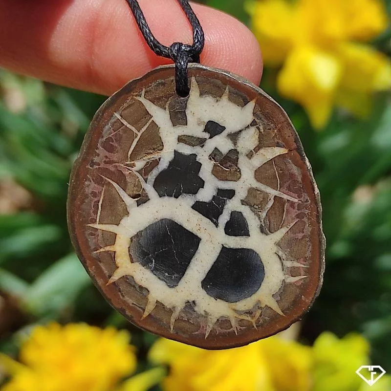 Pendentif en Septaria