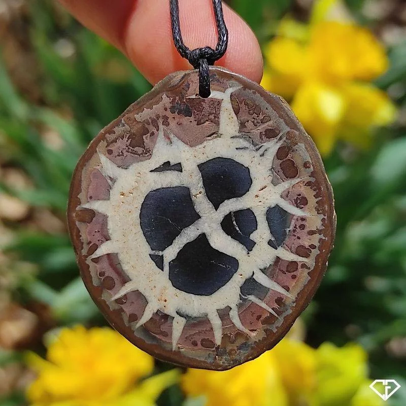 Pendentif en Septaria