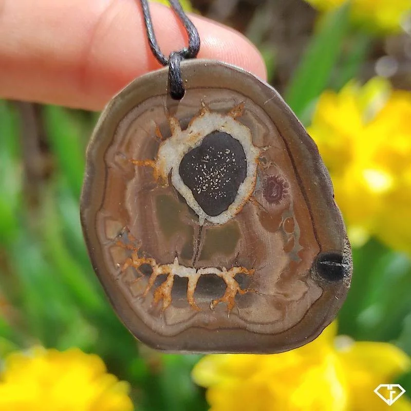 Pendentif en Septaria