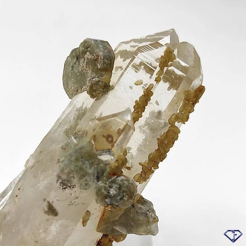 Quartz et Apatite brut