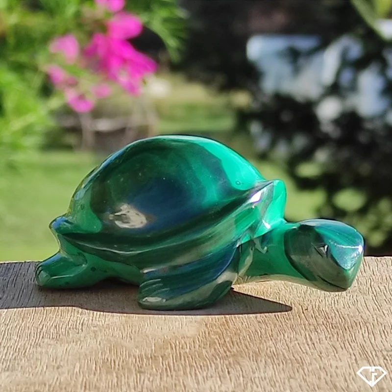 Tortue en Malachite