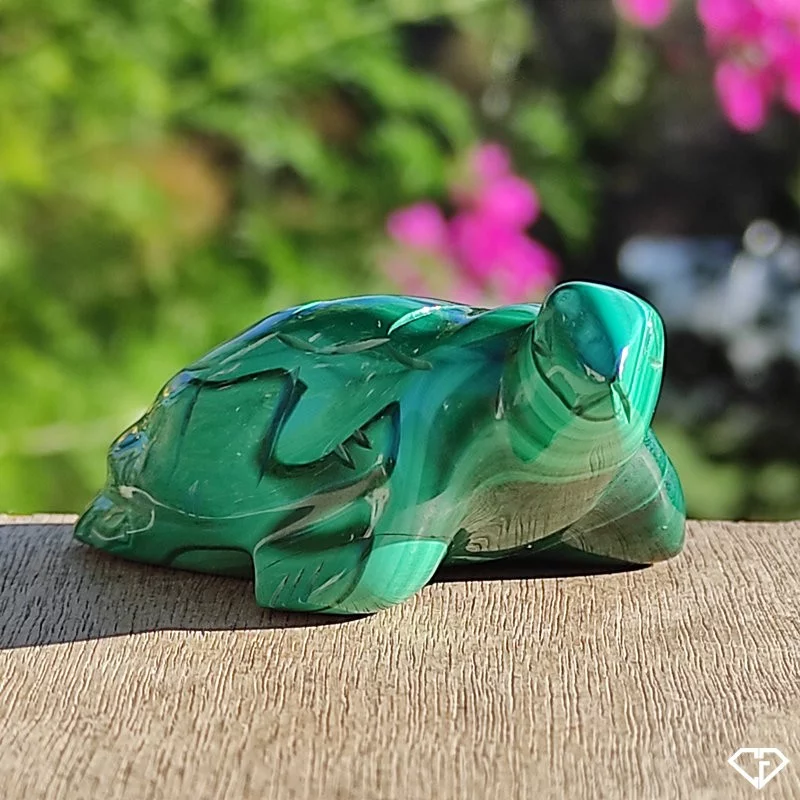 Tortue en Malachite